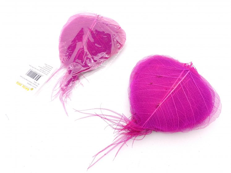 S.A.Skeletiniai lapai ružavi