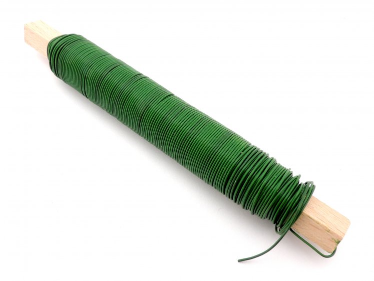 Vielute ant pagaliuko žalia