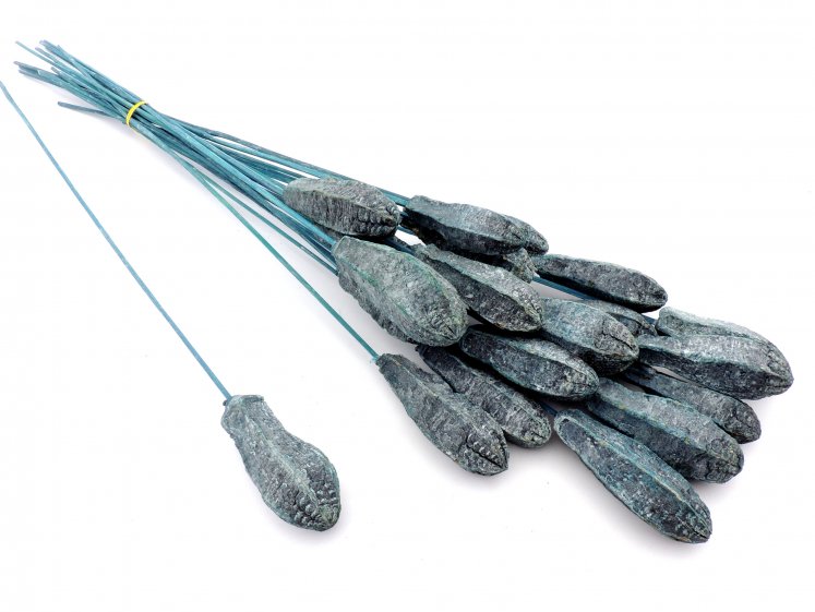 Mehogany Frost on Stem I.Blue