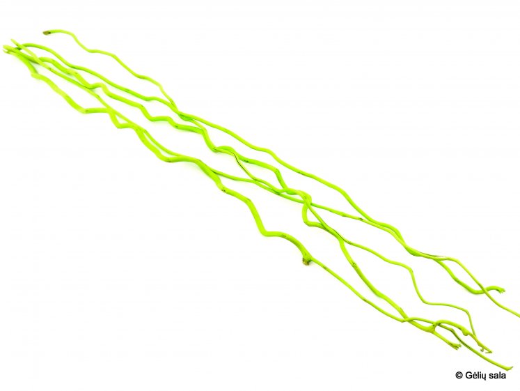 Twisted Branch Green 1m. (5)