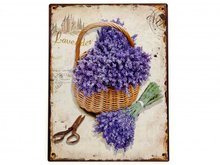 Metalinis paveikslėlis...