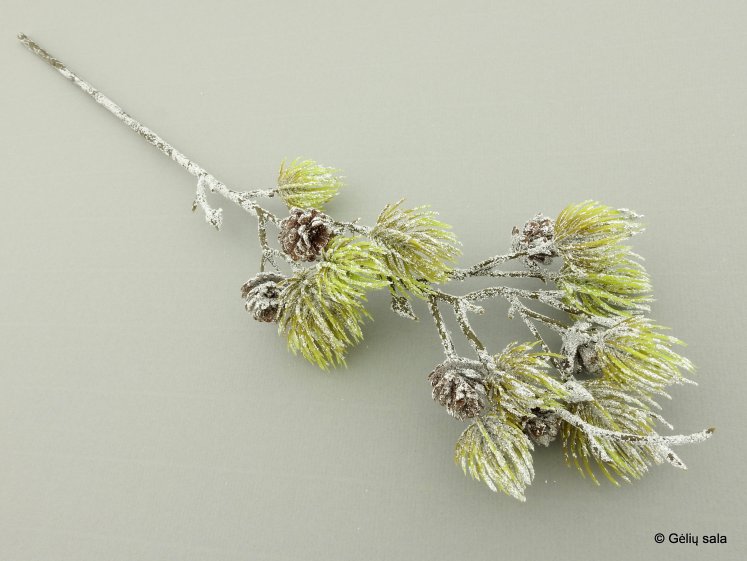 Branch with Pine Cones