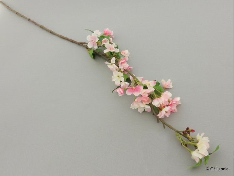 Cherry Blossom Branch