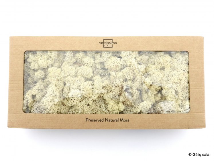 Stabilized Moss 500gr