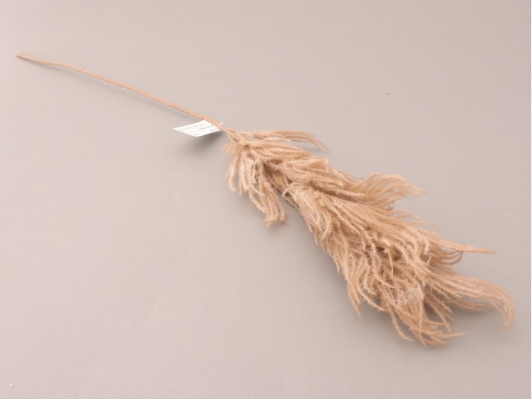 Smilga - pampas grass