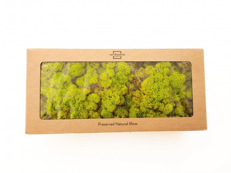 Stabilized Moss 500gr