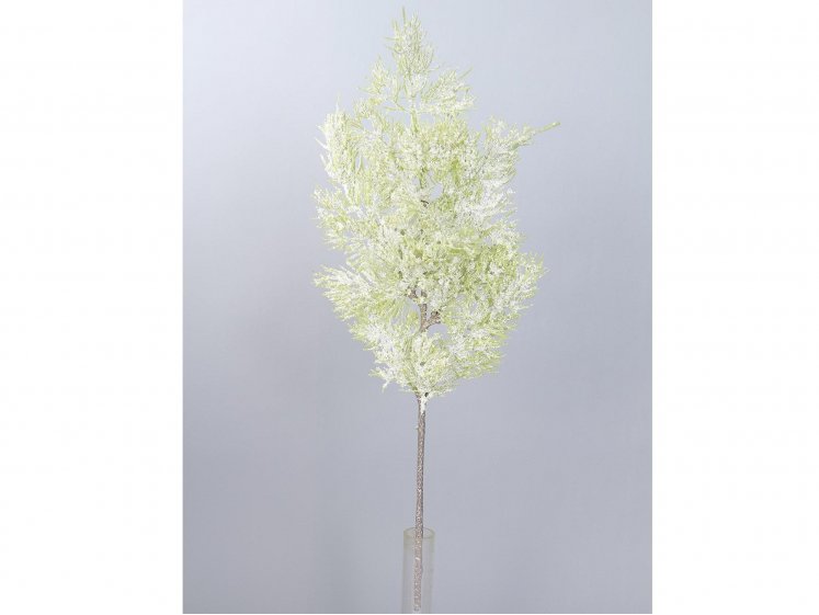 Snowy cypress branch, green