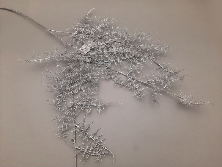 Silver Cypress Branch H.88cm