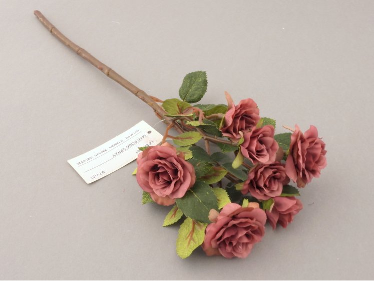 Small Flowered Rose Branch