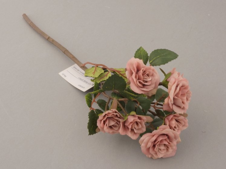 Small Flowered Rose Branch