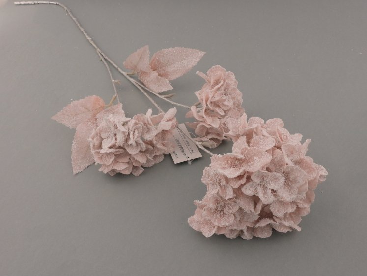 Hortenzijos šaka snieguota