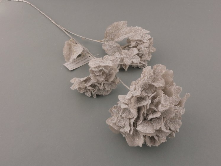 Snowy Hydrangea Branch
