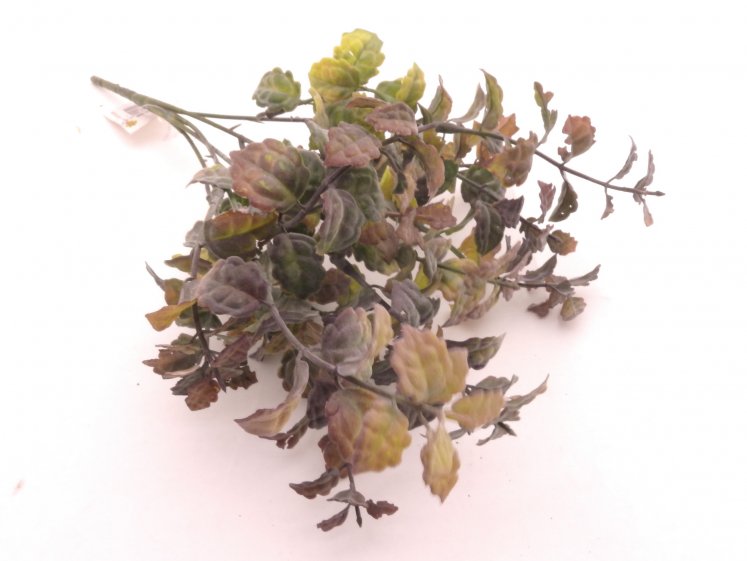 Bush of Greenery - Mint