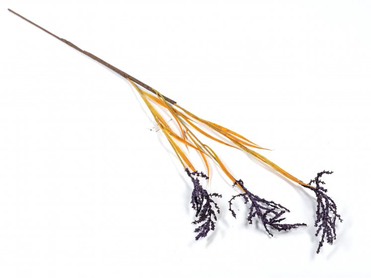 Žalumos šaka - smilga