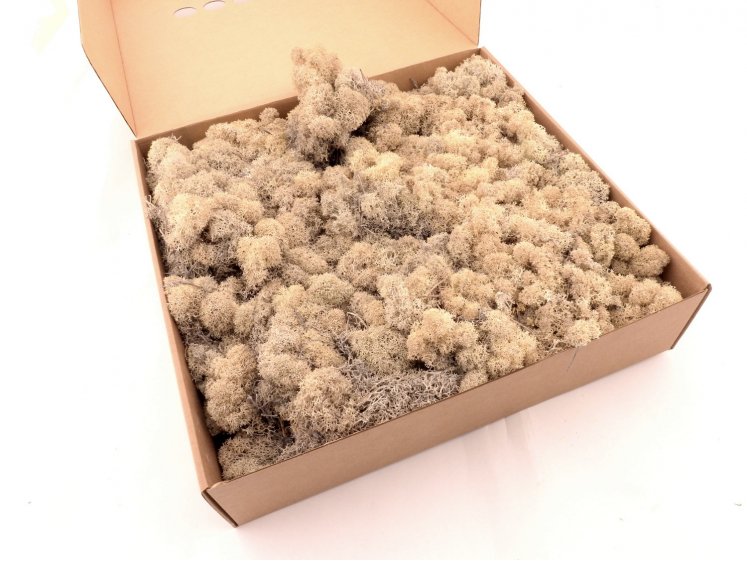 Stabilizuota samana Cream 1kg