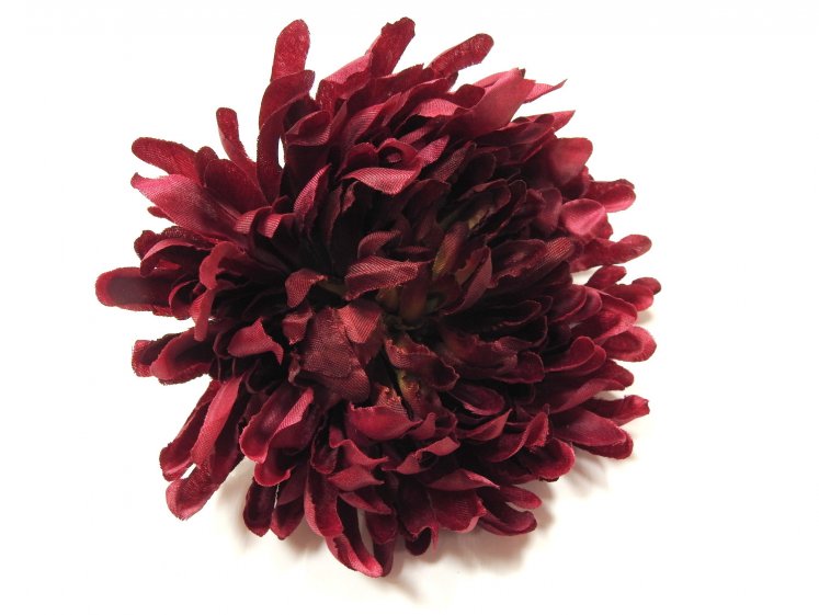 Chrizantemos žiedas BORDO