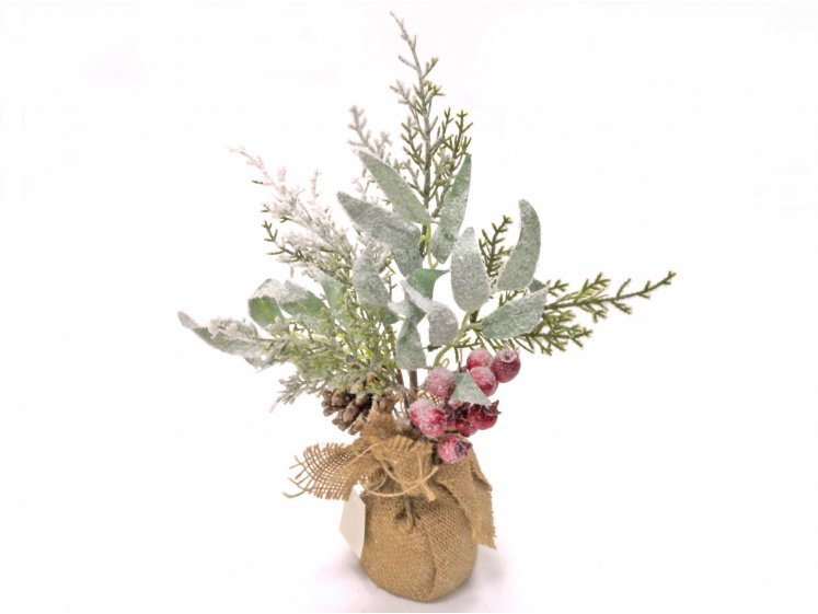 Žalumos krūmelis snieguotas