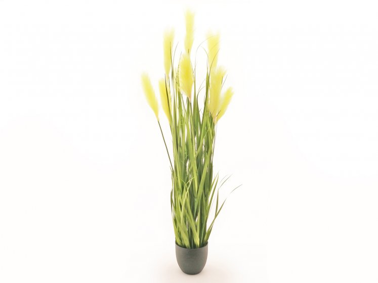 Grass in a Pot with Flluff xl
