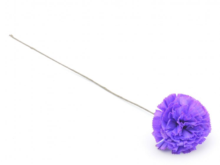 Shola Marigold 10cm Col Purple