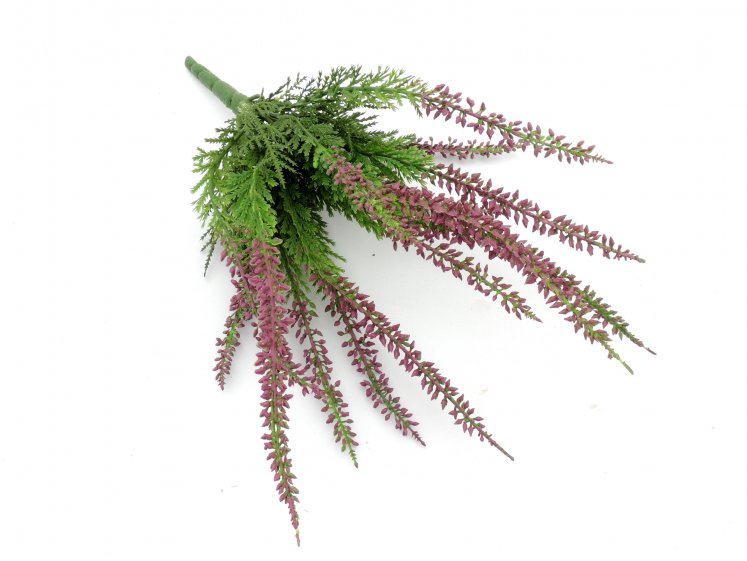 D.G. Viržiai violetiniai...