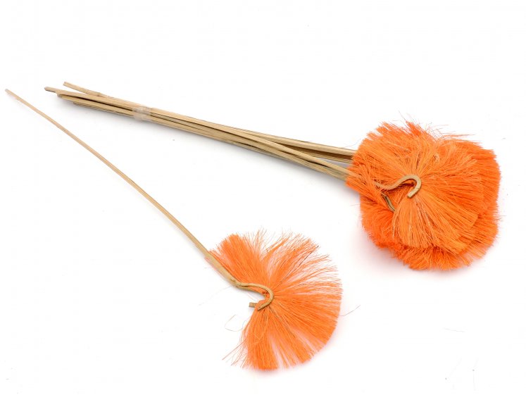 Cane mayur-Gervės kuodas...