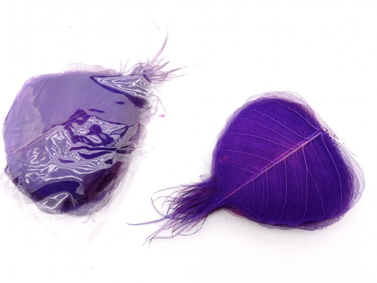 S.A.Skeletiniai lapai  t....