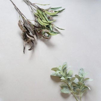 Arriving Twigs & Branches