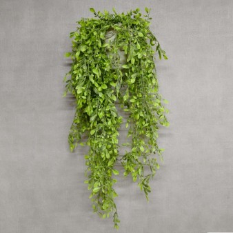 Hanging Greenery, Vines, Carpets, Stumps