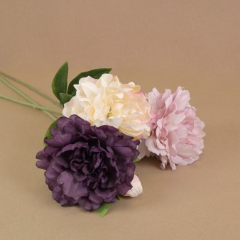 Hortensje, piwonie, dalie