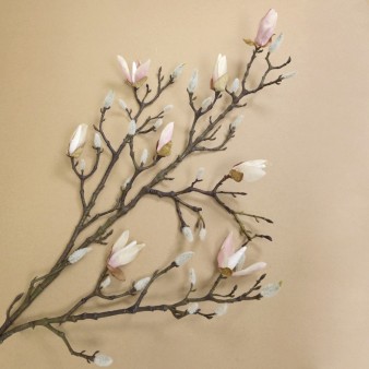 Spring, Summer - Branches, Berries