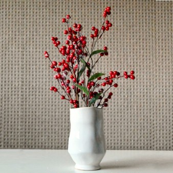 Christmas branches and berries