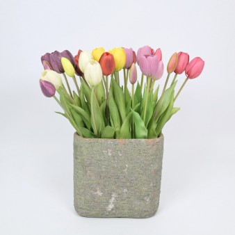 Spring, Summer - Flowers