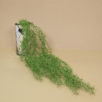 Arriving Hanging Greenery, moss carpets