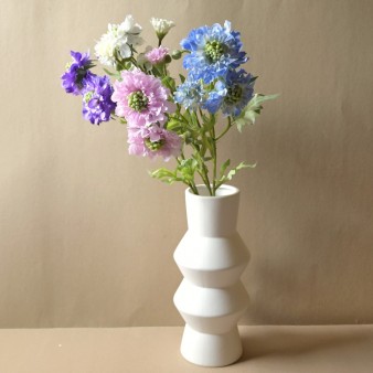 Arriving Spring Flowers