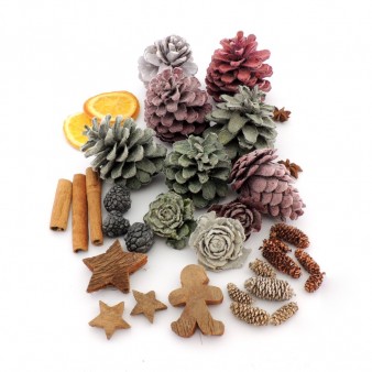 Christmas dry plants